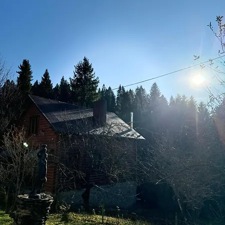 сідус Hotel