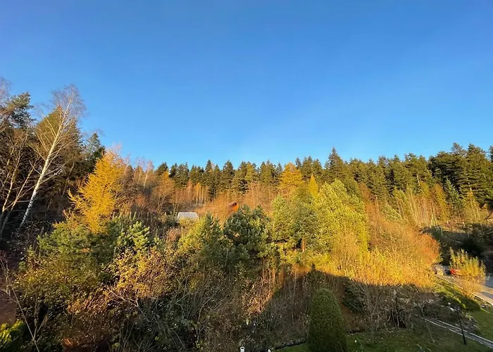 сідус * Skhidnytsia