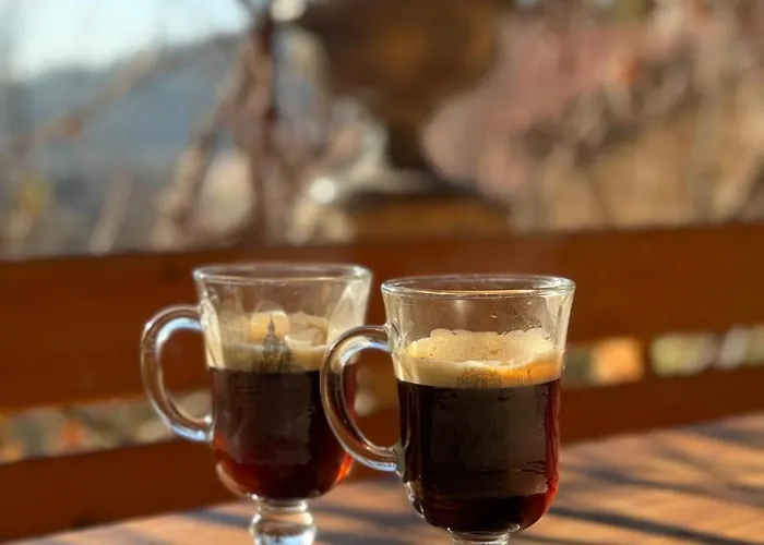 Hotel сідус *